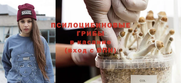 MDMA Сясьстрой